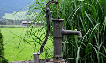 Woda ze studni – dlaczego trzeba uzdatniać wodę?
